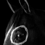 CABALLO CON CIRCULO