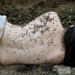 Anthill