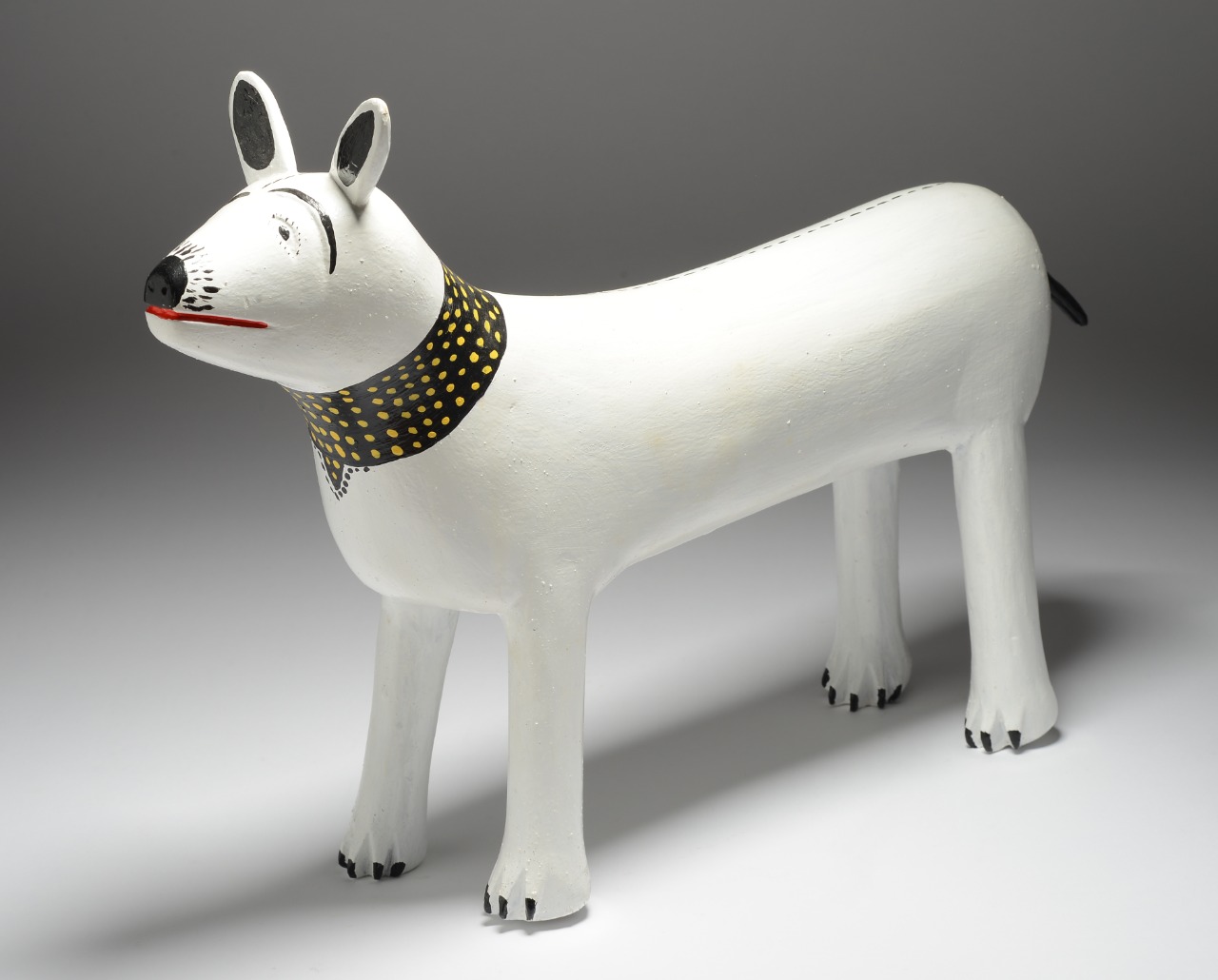 Cachorra