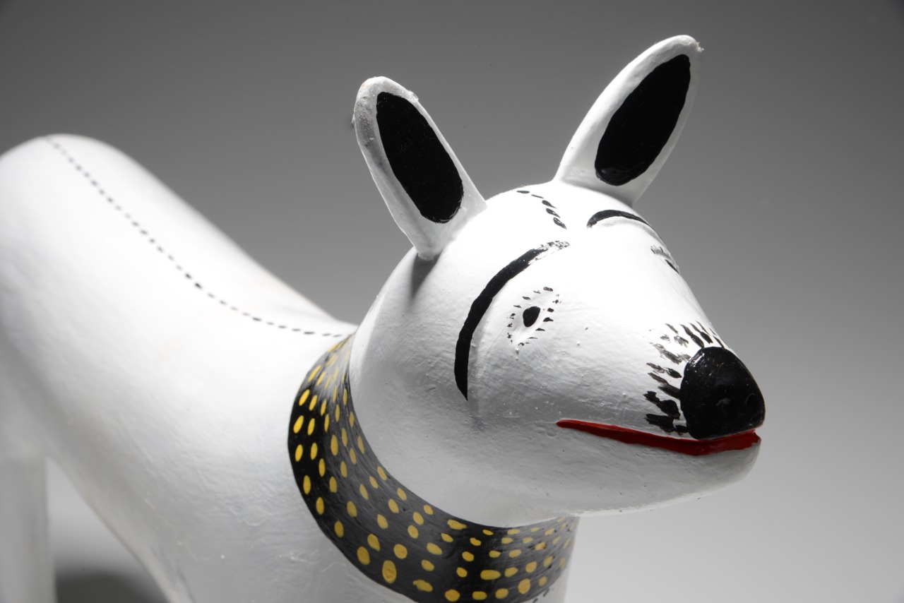 Cachorra