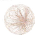 Study for Possible Universes II