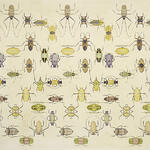 Beetle Frequency
