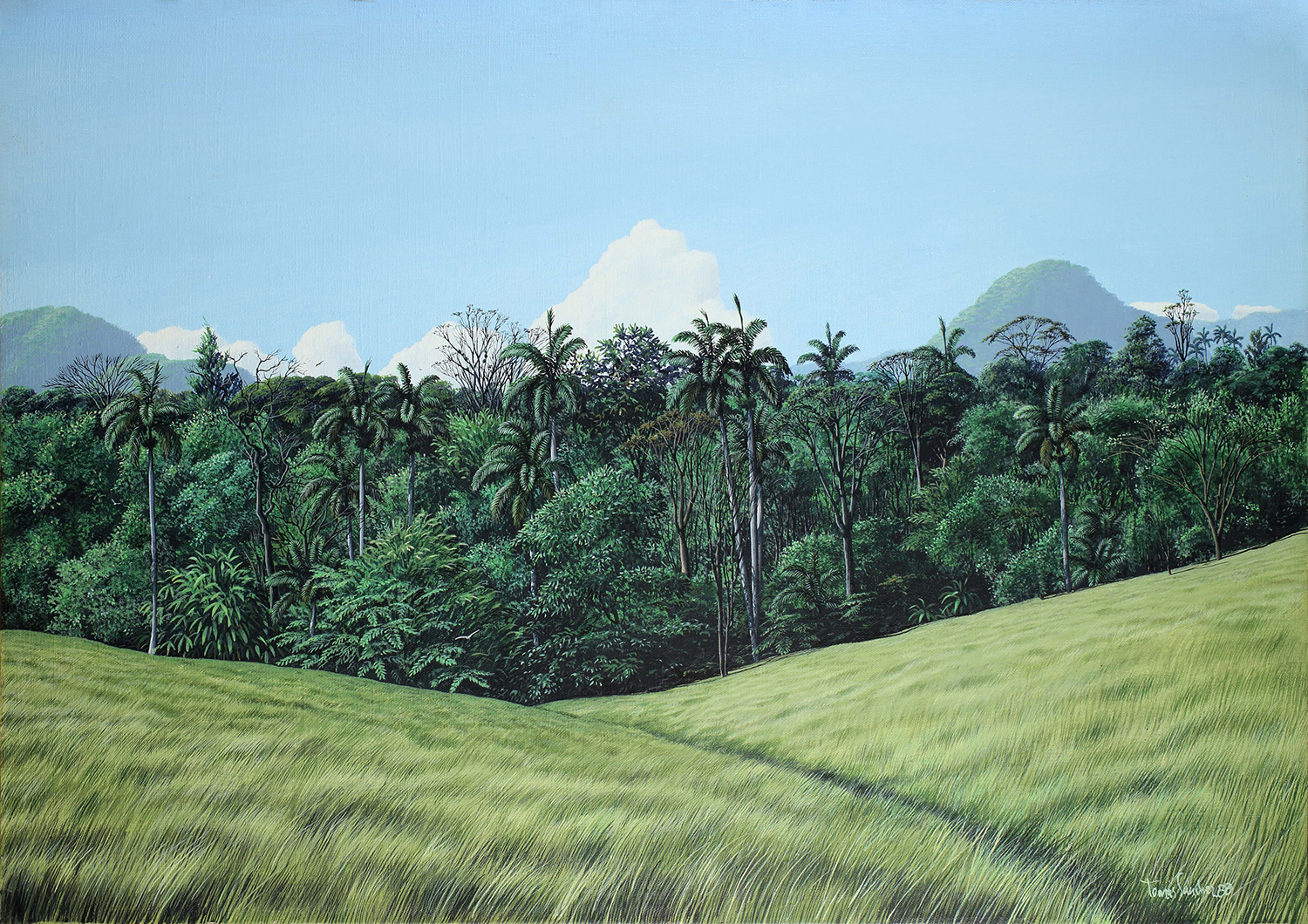 Paisaje cubano
