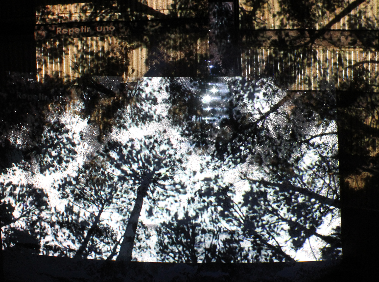 Proyecciones sobre cenizas